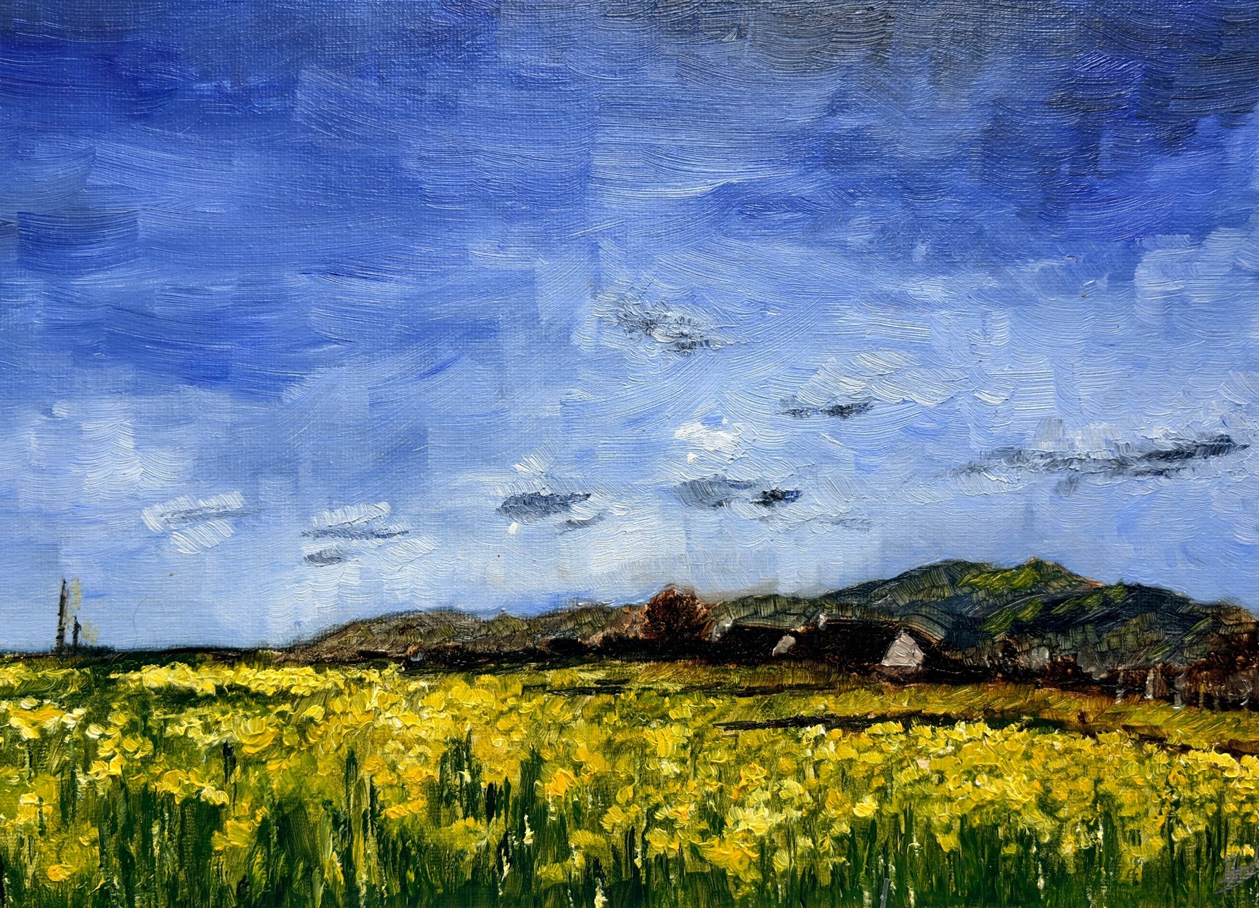 Field